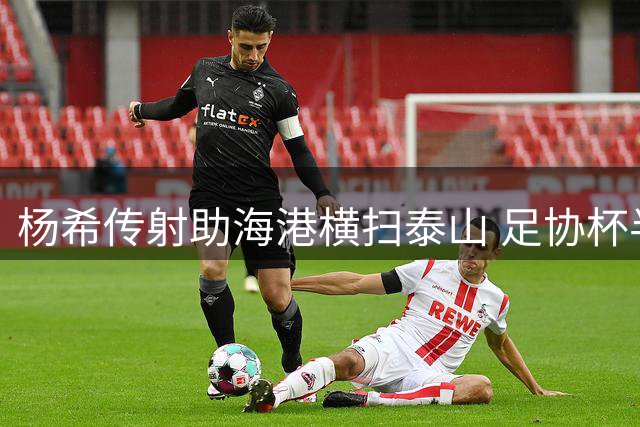 杨希传射助海港横扫泰山 足协杯半决赛席位到手
